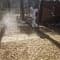 Уничтожение клещей на участке в Кашире